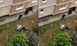 Ümraniye’de Panik Anları Çift 4. Kattan Atladı