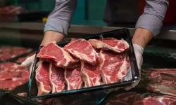 Erzurum Kırmızı Et Üretiminde Pilot İl Seçildi