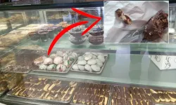 Kurabiyeden Sigara İzmariti Çıktı, İşletmeye Ceza Yağdı