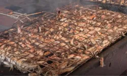 Sultanbeyli’de 2. Hamsi Festivali Yoğun İlgi Gördü