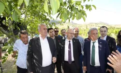 Trabzon Hurması, Dut ve incire Destek Ödemesi Başladı