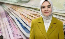 Ulusal Vefa Programına 2026’da 5,1 Milyar Lira