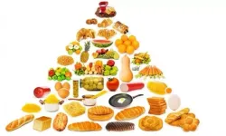 Yeni Amerikan Besin Piramidi Ezberleri Bozdu