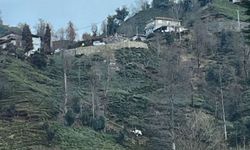 Uçuruma Yuvarlanan Eski Muhtar Hayatını Kaybetti