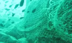 Karadeniz İçin Kritik Uyarı Ekosistem Büyük Tehdit Altında