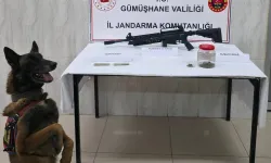 Gümüşhane’de Yasaklı Madde Ve Silah Operasyonu