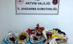 Artvin’de 60 Kilo Yaban Domuzu Eti Ele Geçirildi