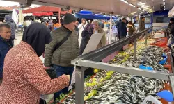 Bolu Pazarında Haftalardır Hamsi Yokluğu Yaşanıyor