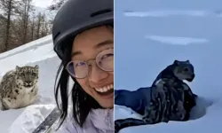 Bu Karaden 1 Saniye Sonrası Büyük Facia