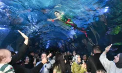 Trabzon Akvaryum’da Su Balesi Şöleni