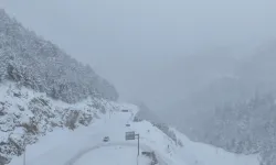 Zigana Dağı Geçidi’nde Kar Etkili Oldu