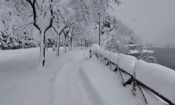 Uzungöl Beyaza Büründü! Kar Kalınlığı 1 Metreyi Aştı