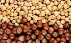 Fındıkta Fiyat Uçurumu Büyüyor Kabuklu Geriledi Raf Yükseldi