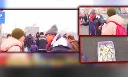 Galata Köprüsü’nde Vegan Kadının Balık Tepkisi Gündem Oldu