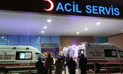 İstanbul’da Kuduz İddialarına Resmi Açıklama