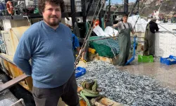 Kırklareli'nde 6 Saatte 30 Ton Hamsi