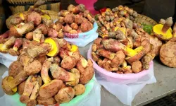 Aynı Halüsinasyonlara Yol Açan Gizemli Mantarlar