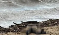 Sarımsaklı Sahilinde Cansız Kadın Bedeni Bulundu