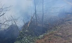 Trabzon'da Çaykara Ve Köprübaşı'nda Yangın