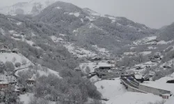 Zigana Dağı Kar Yağışıyla Beyaza Büründü Manzara Büyüledi