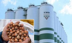 TMO’nun Eski Fındık Satışı Piyasayı Tartıştırdı