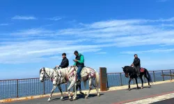 Trabzon Sahilinde Atlı Sürpriz Vatandaşları Şaşırttı