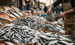 Ramazanda Trabzon’da Hamsi Ve İstavrit Bolluğu