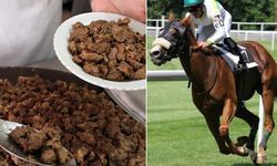 Yarış Atı Olayında Sahibine 132 Bin TL Ceza