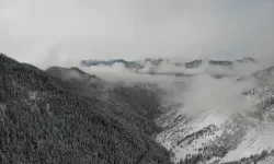 Zigana Dağı Eteklerinde Bahar Açtı Zirveler Beyaz