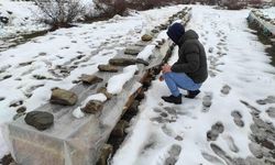 Batmanlı Arıcı Şampiyon Arılarını Soğuktan Koruyor