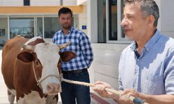 İş Vaadiyle Parasını Verdi Mağdur Oldu