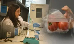 Trabzon’da Geliştirilen Ambalaj Gıdayı 15 Gün Koruyor