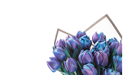 Bloom and Fresh ile Çiçek ve Hediye Sanatı