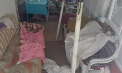 Sis Dağı Yaylası’nda Ayılar Evleri Talana Başladı