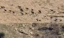 El Sürmenin Cezası 940 Bin Lira