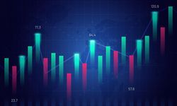 Halka Arz Sürecini Takip Etmek İsteyen Yatırımcılar İçin Güncel Kaynaklar