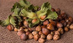 Fındık Rekolte Açıklamasına Tepki Gerçekçi Değil