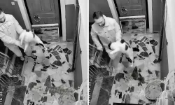 Apartmanda Kediye Şiddet Kamerada