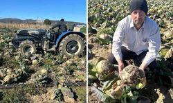 Tarlada Çürüdü Pazarda 70 Lira Satılıyor