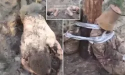 Rus Ordusunda İşkence İddiaları Gündeme Oturdu