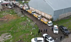 Şanlıurfa’da 50 Ton Bozuk Tavuk Eti Ele Geçirildi