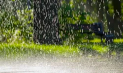 Karadeniz’de Hava Durumu Açıklandı Trabzon Detaylı