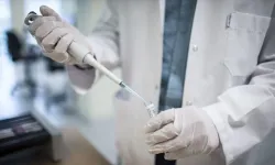 Türkiye Kök Hücre Tedavisinde Tercih Ediliyor