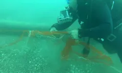 Hayalet Ağlar Temizlendi 1,5 Milyon Canlı Kurtarıldı