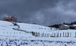 Trabzon’da Kar Yağışı Hayatı Olumsuz Etkiledi