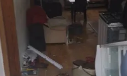 Trabzon’da Aç Kalan Ayılar Yayla Evine Girdi