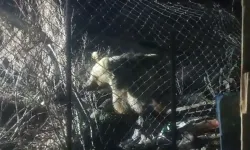 Bayburt’ta Ayı Şantiyede Görüldü Kaçtı