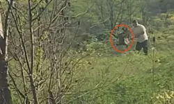 Avcılar’da Köpeğe Şiddet Uygulayan Şahıs Yakalandı