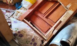 Trabzon’da Eve Giren Ayı Büyük Hasar Verdi