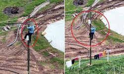 Diyarbakır’da Kaçak Elektrik Denetiminde İlginç Anlar